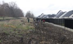 Plantations Cavalier   030